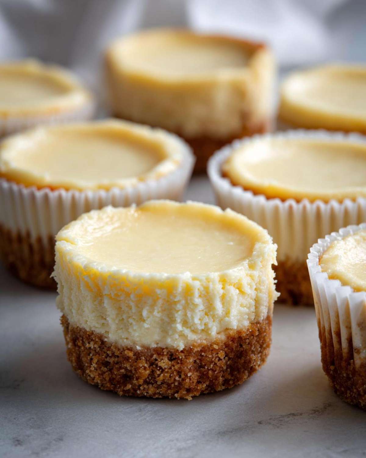 A close-up of one mini cheesecake bite showing the thick graham cracker crust and creamy filling, with others blurred in the background.