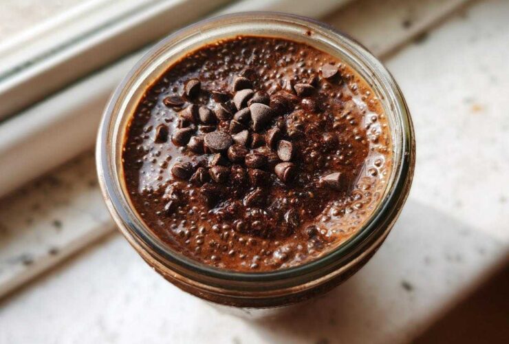 Overhead view of rich, dark chocolate overnight oats topped generously with mini chocolate chips.