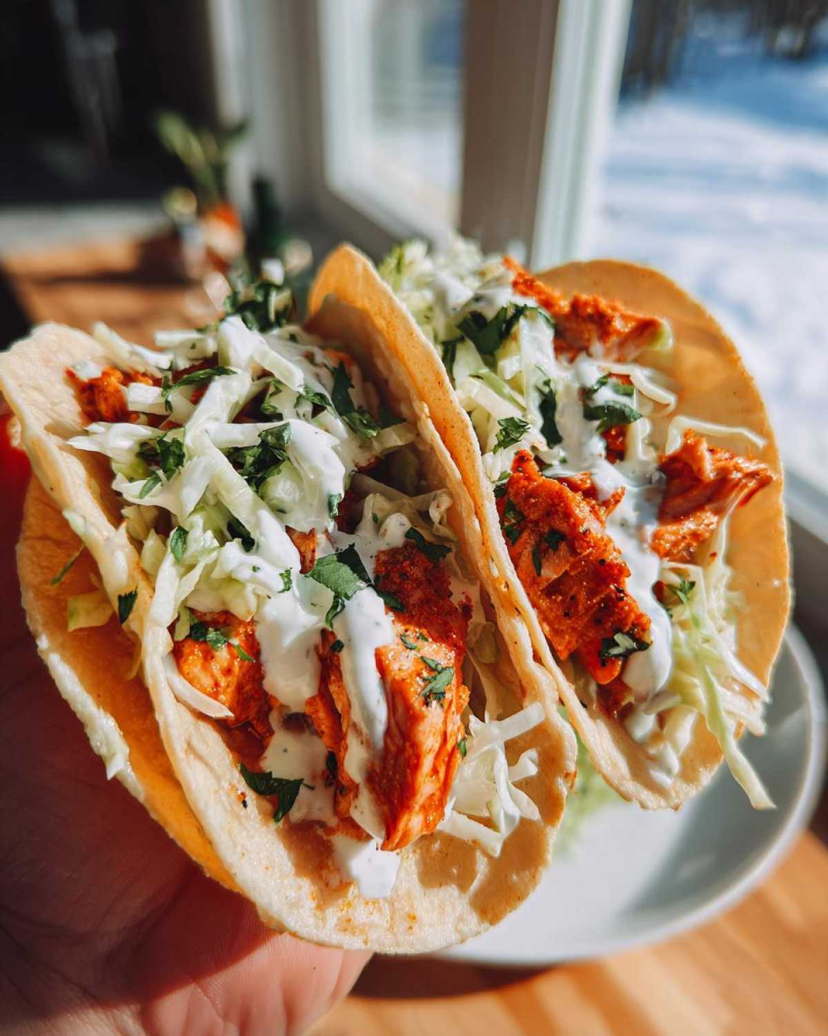 A close-up view of two fully loaded salmon tacos topped with slaw and white sauce, held up near a sunny window.