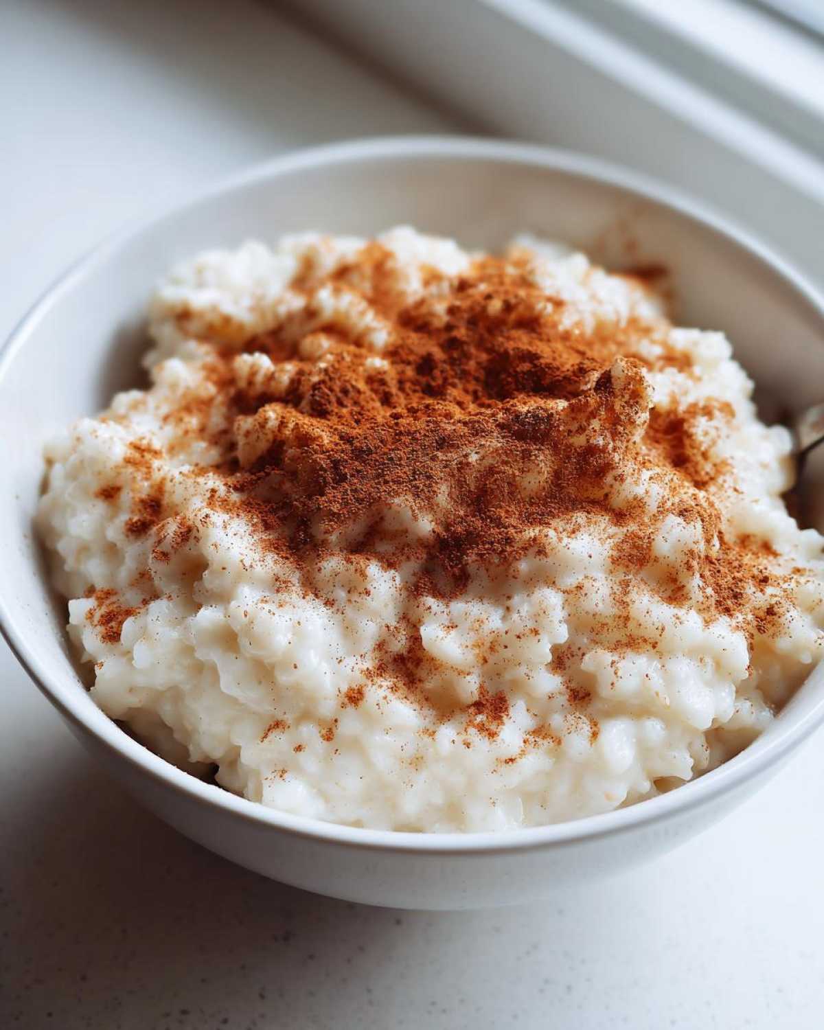 Close-up of creamy rice pudding served in a white bowl, generously topped with ground cinnamon.