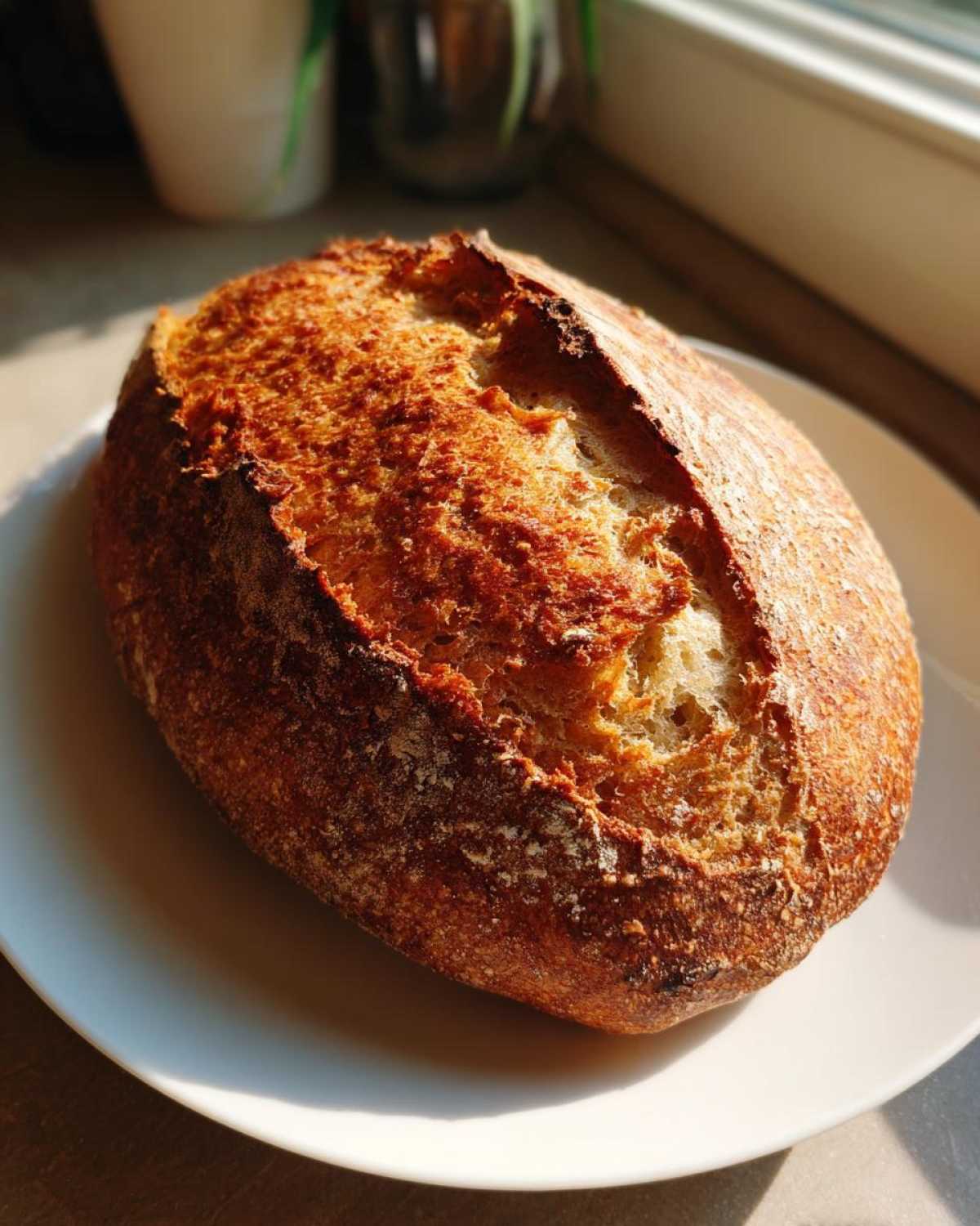 A beautifully baked, rustic loaf of italian bread with a deeply browned, cracked crust resting on a white plate.